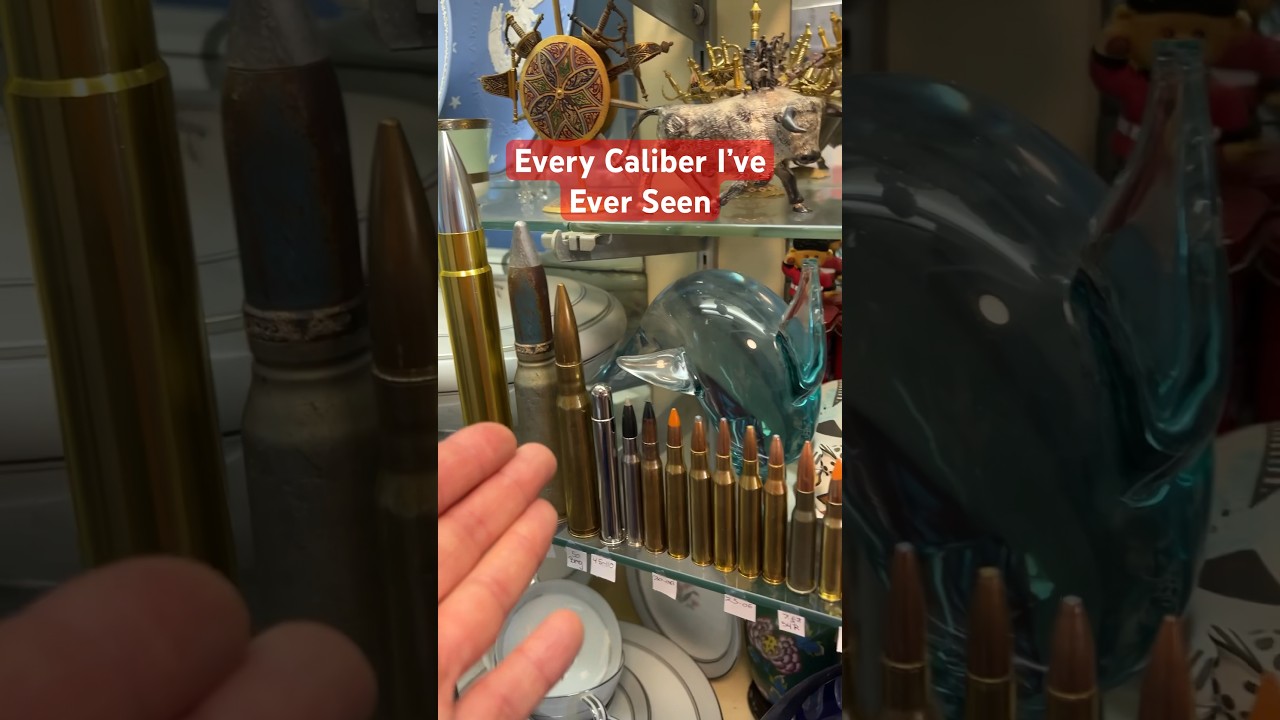 EVERY Caliber I&rsquo;ve EVER SEEN #gun #tactical #civtac