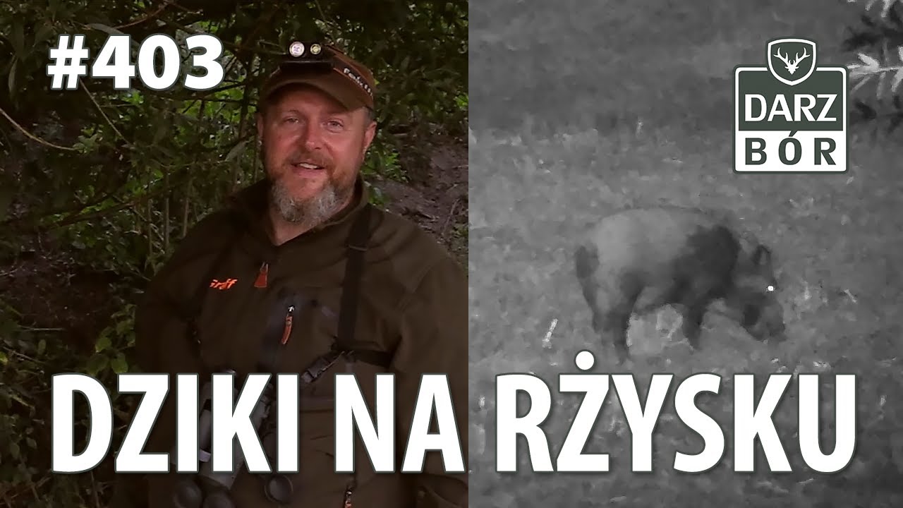 Darz Bór odc. 403 