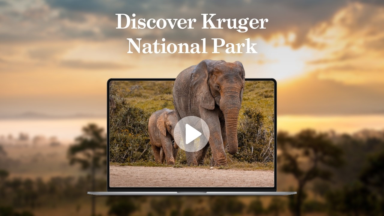 Discover South Africa with Jordan Fry - 4 March 2026