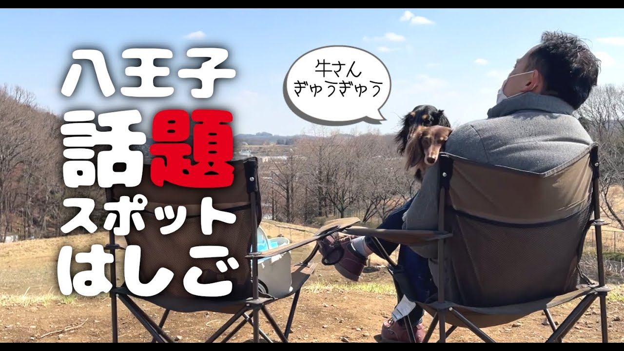 【犬連れ八王子探訪】トーキョーファームビレッジ🐄🐂🐑さんと西八王子の「おウチdeお肉」「無人ホルモン販売所」に行ってきたよ～🍖 ペットショップの売れ残りと元保護犬とお出かけ
