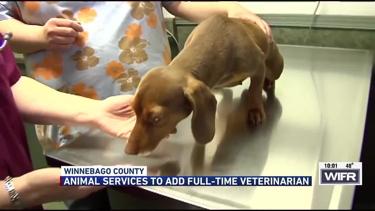 Winnebago County Animal Services to add a full-time Veterinarian after a three-year search