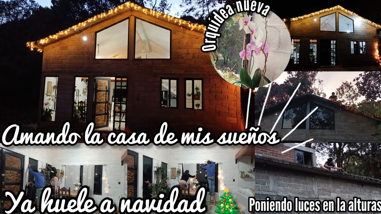 Luces navideñas 🎄🏡/ Poniendo luces en las alturas ✨ / planta Nueva 💐