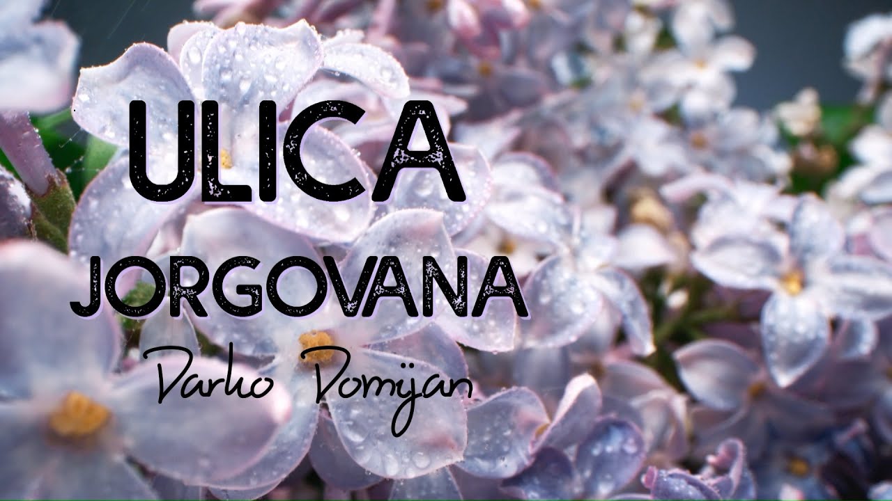 Darko Domijan - Ulica jorgovana (Official lyric video)