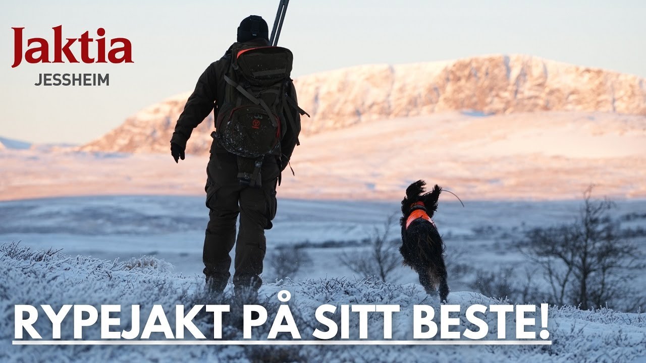 Rypejakt på snø + litt bonus fra sesongen 2022