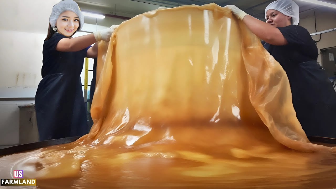 How kombucha Are Made in Factory : kombucha Processing in Factory