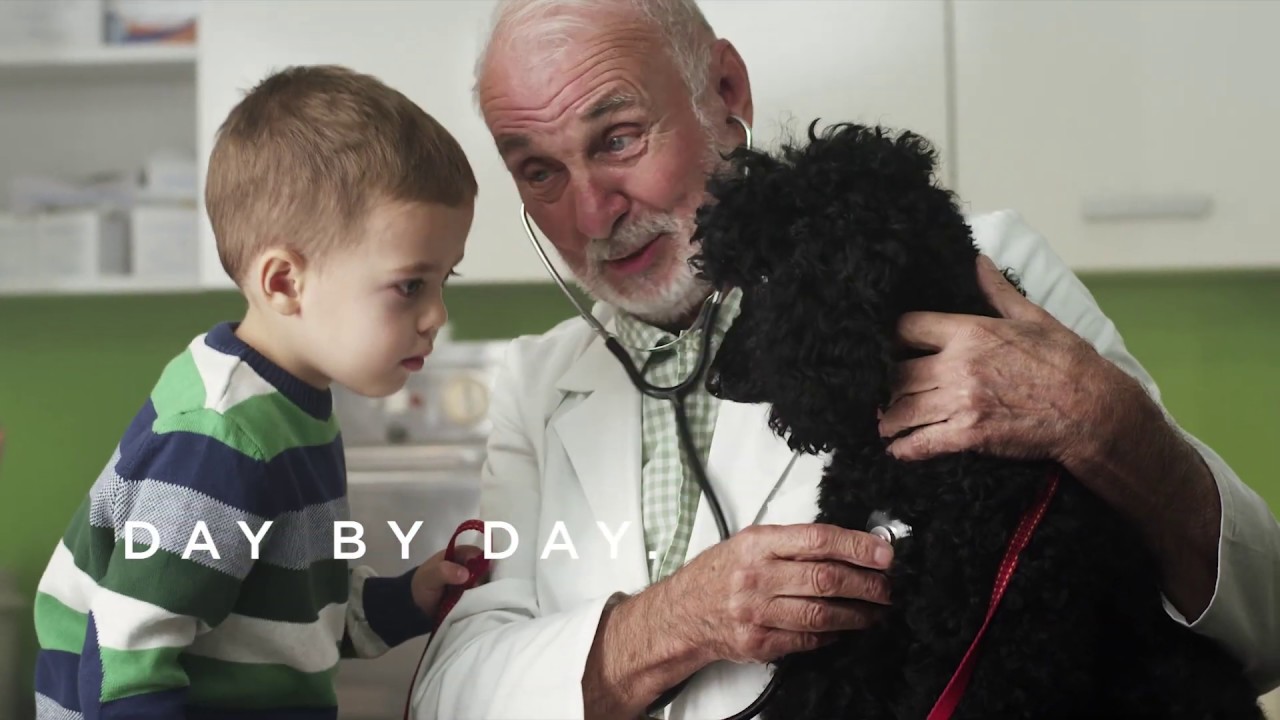 NEVER STOP ELEVATING YOUR VET EXPERIENCE.