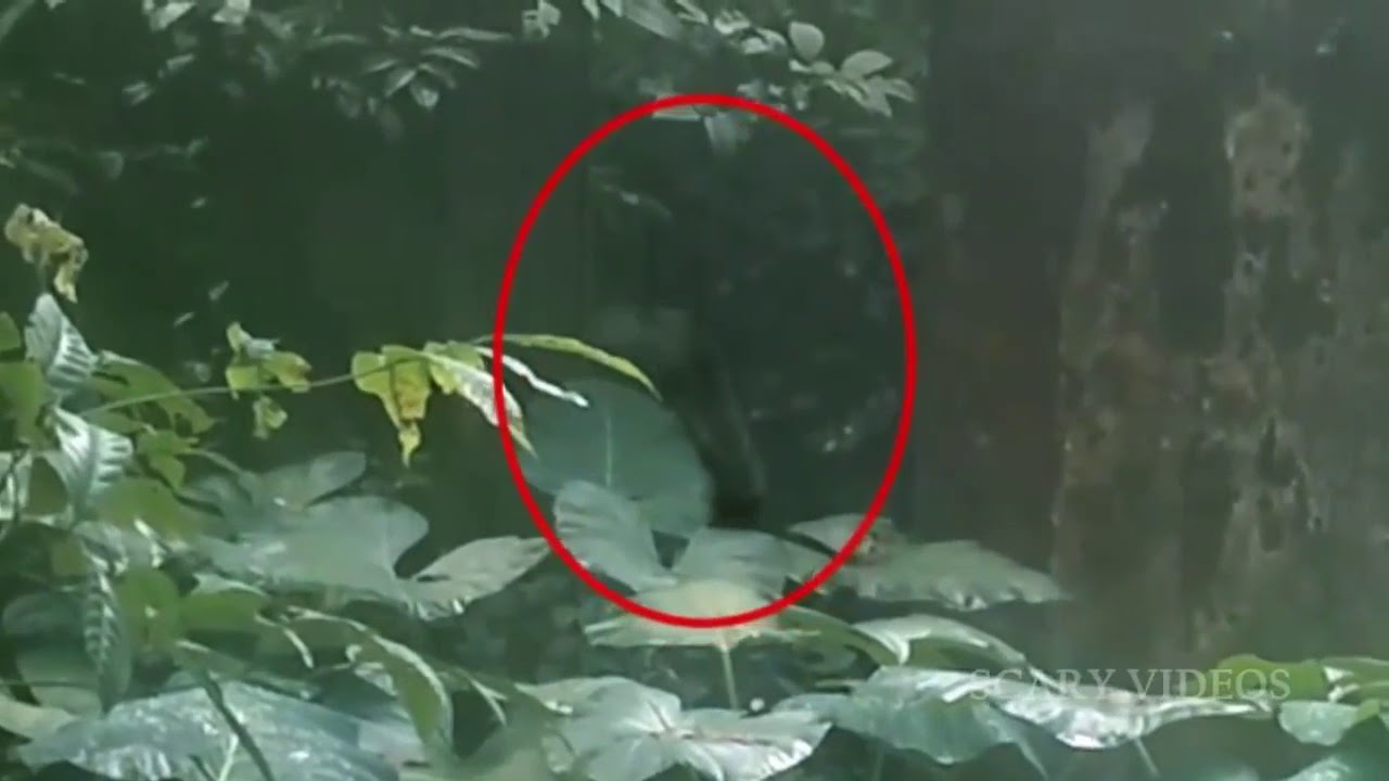 Ghost Entering A Body Caught On CCTV Camera   Ghost Videos