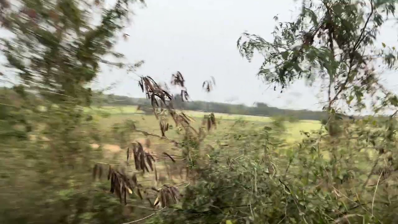 Rajshthan or gujarat ke bich  sabae khatnak ￼ jungle 🫨🫨🫨
