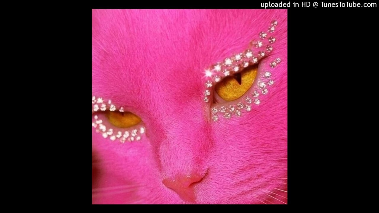 [FREE] Ayesha Erotica x Slayyyter x Trashy Type Beat (prod. Blondy Dash)