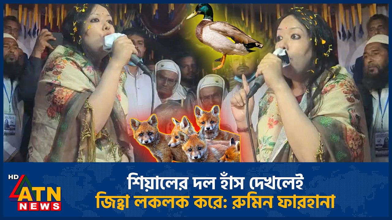 শিয়ালের দলের হাঁস দেখলেই জিহ্বা লকলক করে: রুমিন ফারহানা | Rumeen Farhana | Duck | Politics