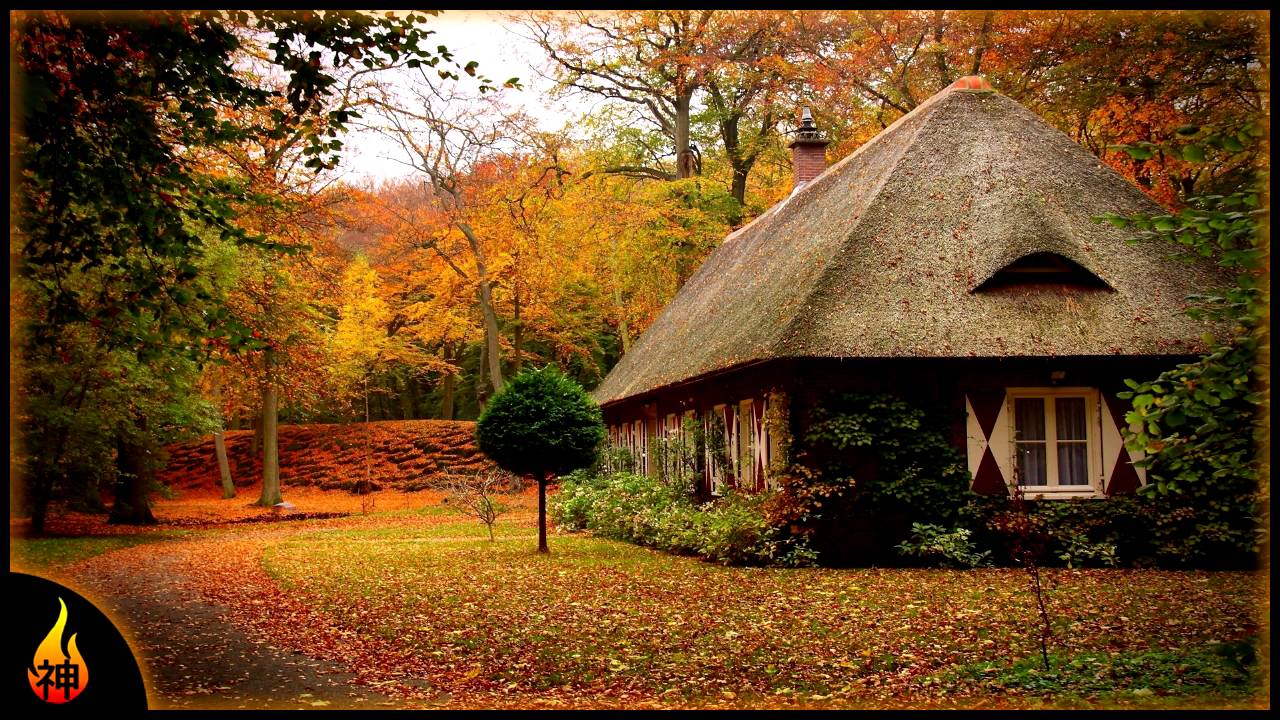 Instrumental Folk Music | Shades of Orange | Emotional Guitar Music
