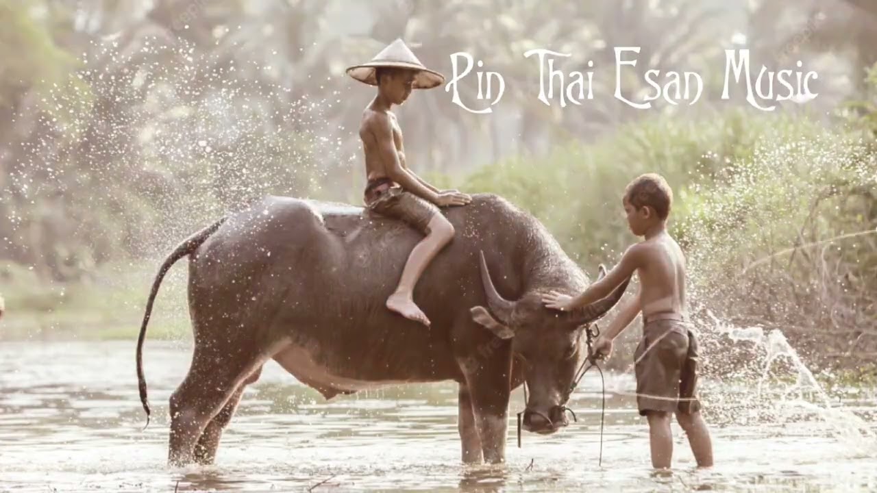 Pin Thai Esan Music