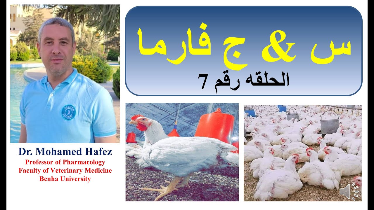 س & ج فارما الحلقه (7) أ.د. محمد حافظ  (الفرق بين التولترازوريل & الدايكلازوريل) ..