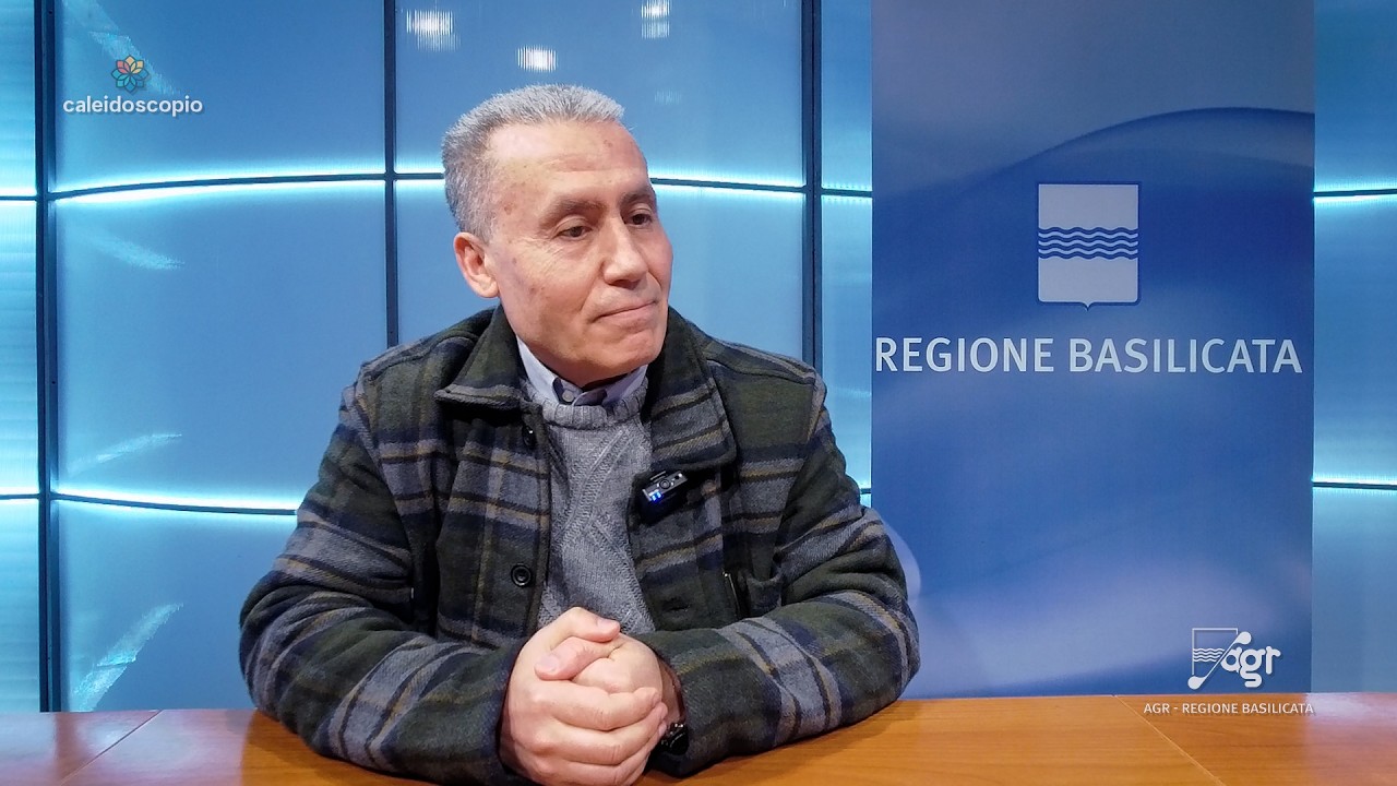 Hamza Zirem:  