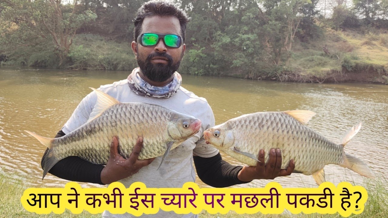 Java barb / parg fishing / kolhapuri fishing and cooking