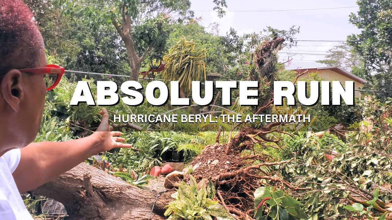 Assessing the Aftermath: My Garden took a Beating from Hurricane Beryl