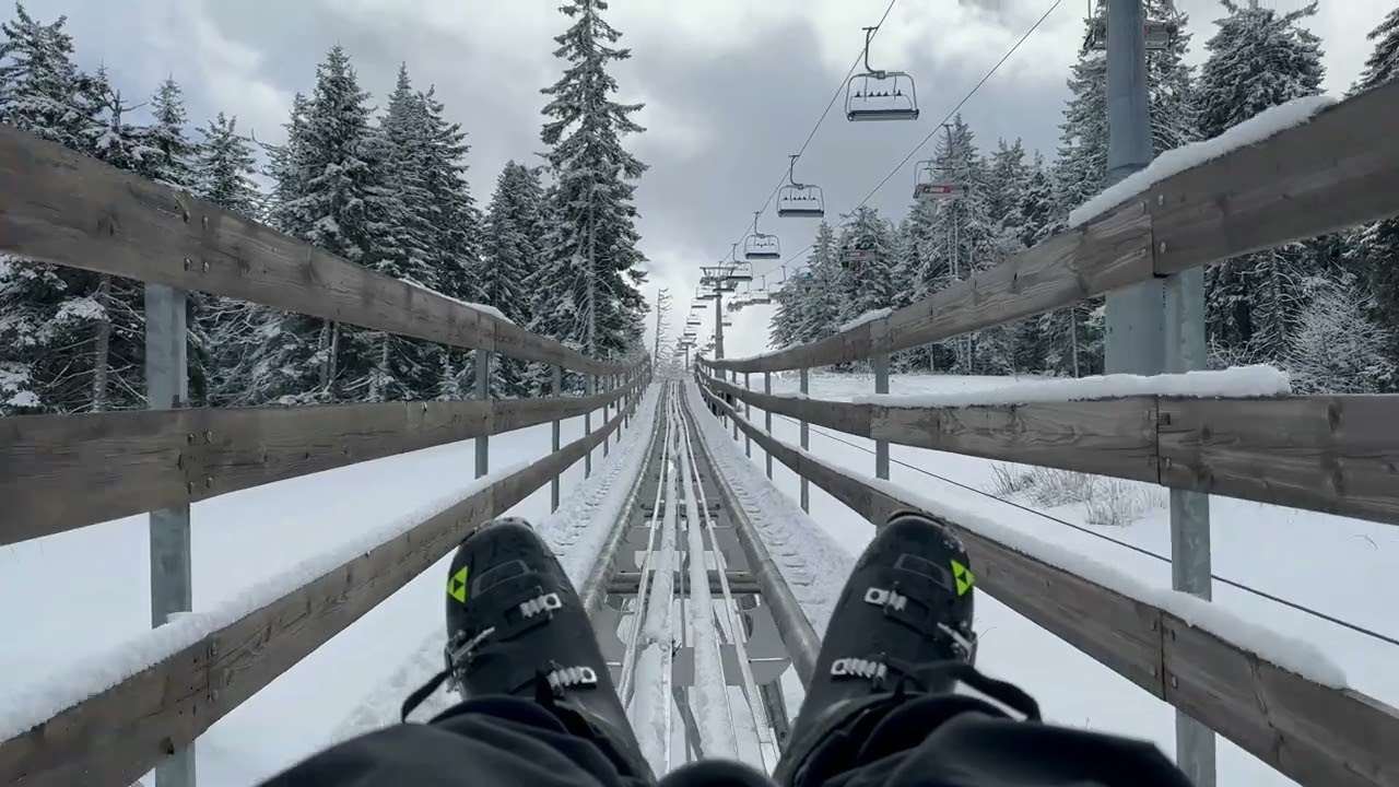 Bob na sinama Kopaonik