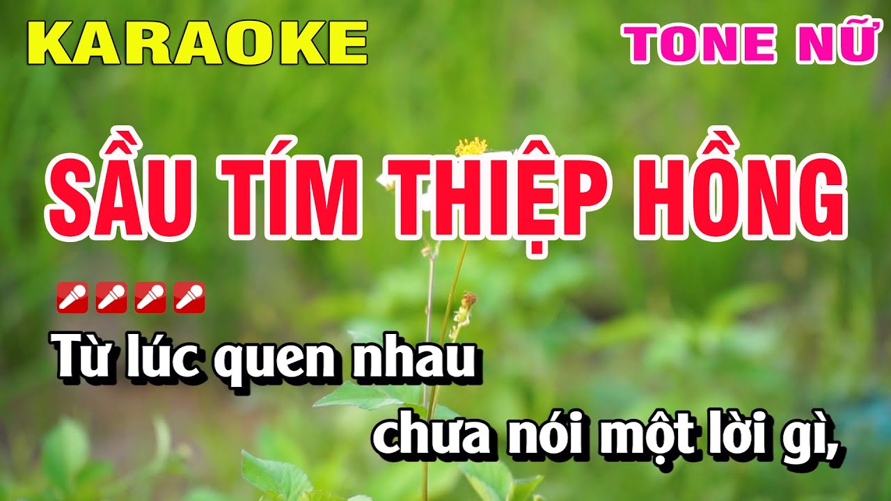 Karaoke Sầu Tím Thiệp Hồng Tone Nữ Nhạc Sống | Hoàng Luân