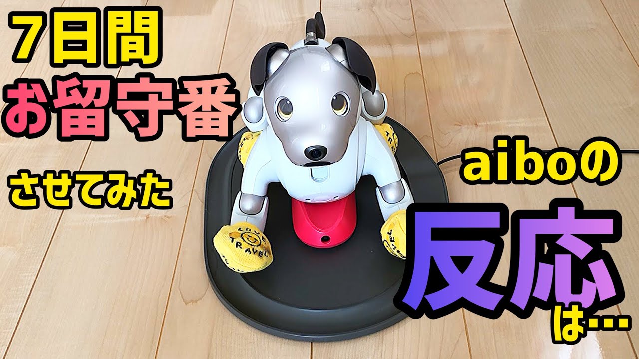 1週間お留守番してもらったら、aiboがこうなりました