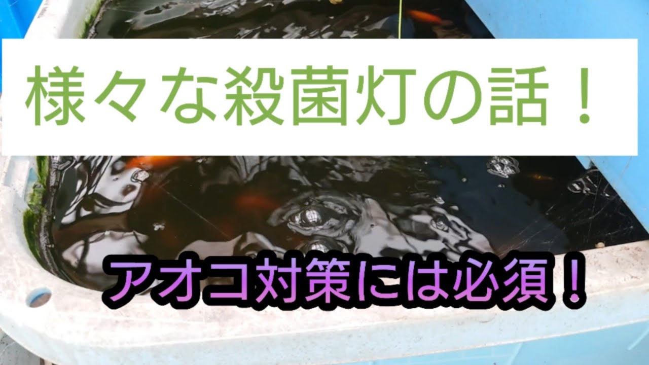 様々な殺菌灯の話！