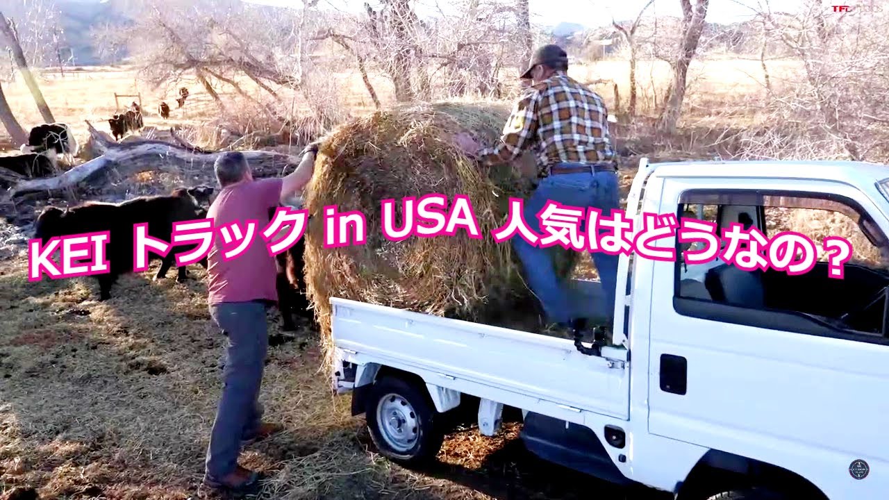 アメリカで活躍する【軽トラック】使われ方と評判　ディーラーの稼ぎはどの位？その人気の影で日本で盗難も！#アメリカの軽トラ #KEITRUCKINUSA