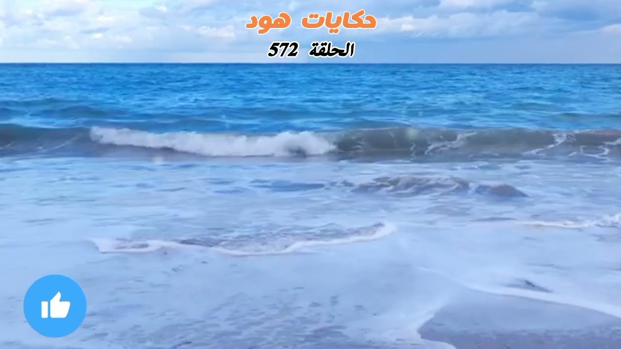 مقت... ولة في ظروف غامضة 😭💔