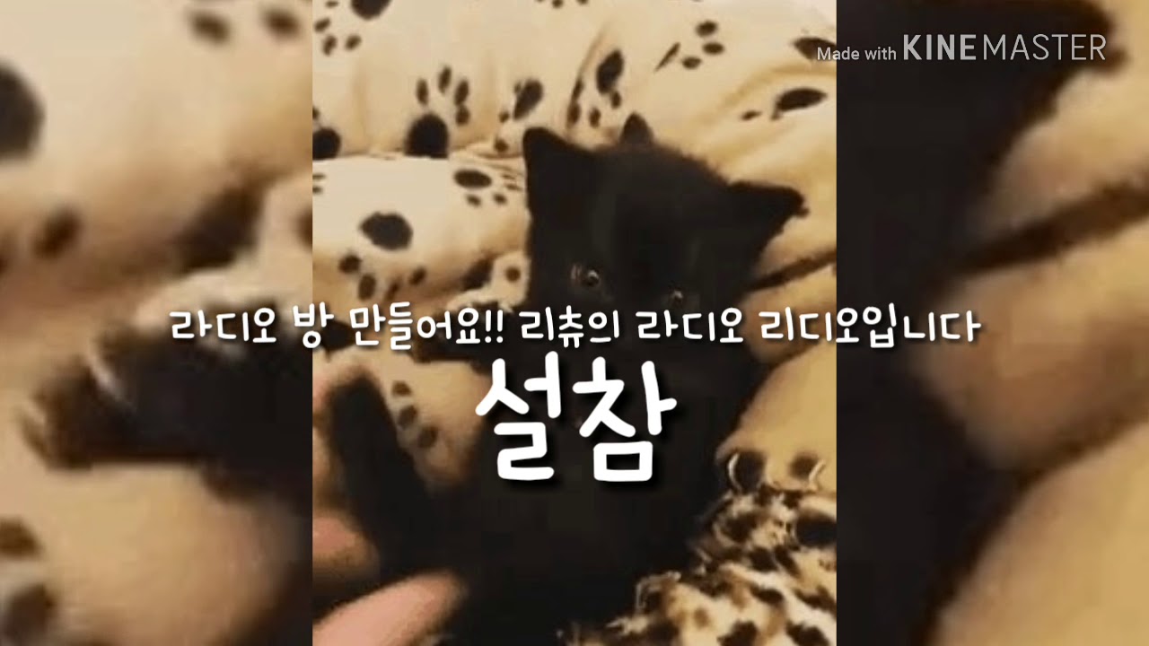 리츄의 라디오 리디오 만듬
