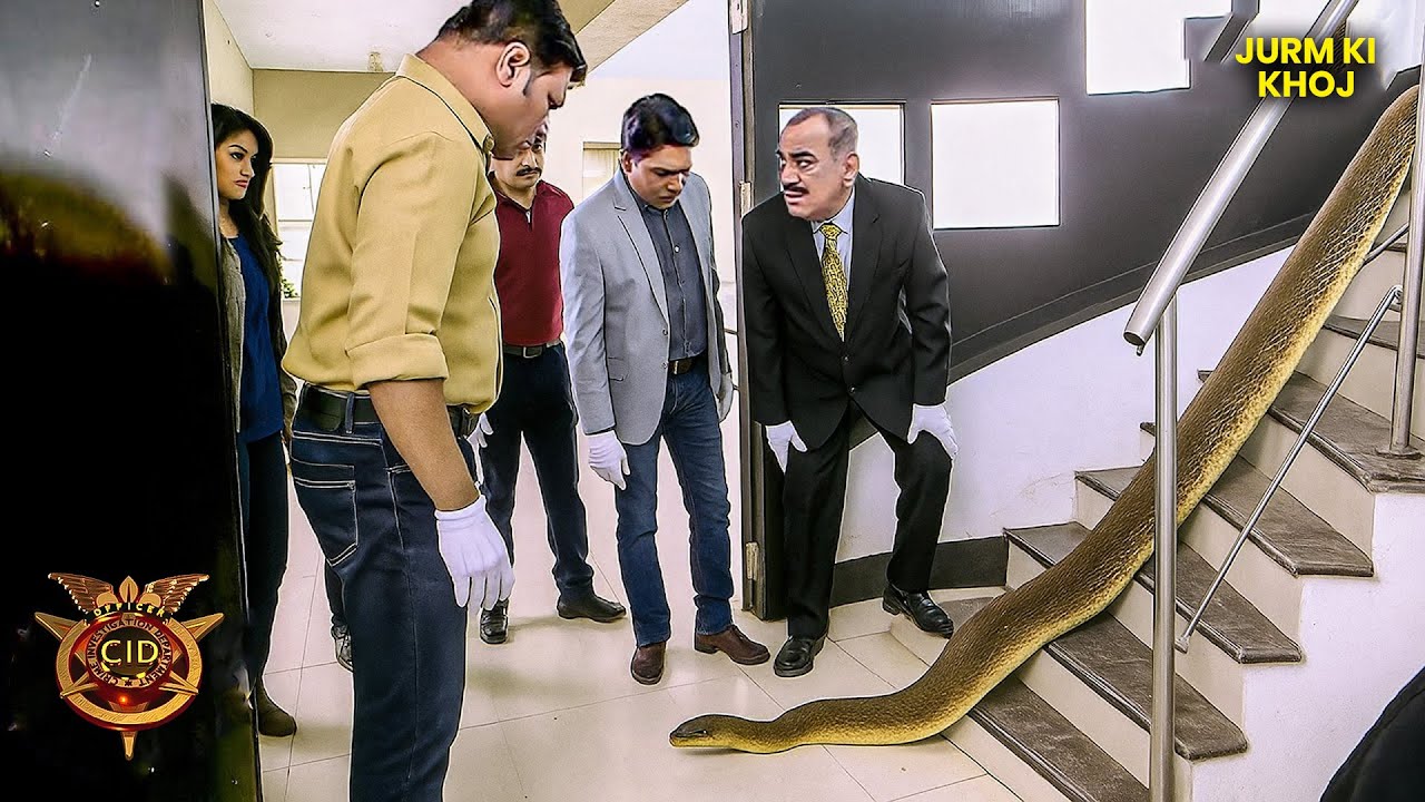 CID new episode 2025 | 10 feet लंबे जेहरीले साप को कैसे Rescue किया CID ने | CID