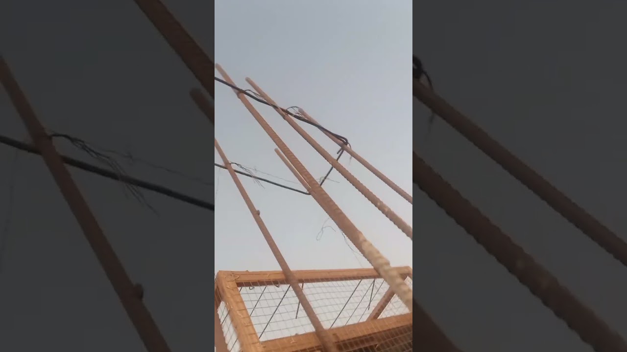 فكره مصيده اليمام الاوتوماتيك