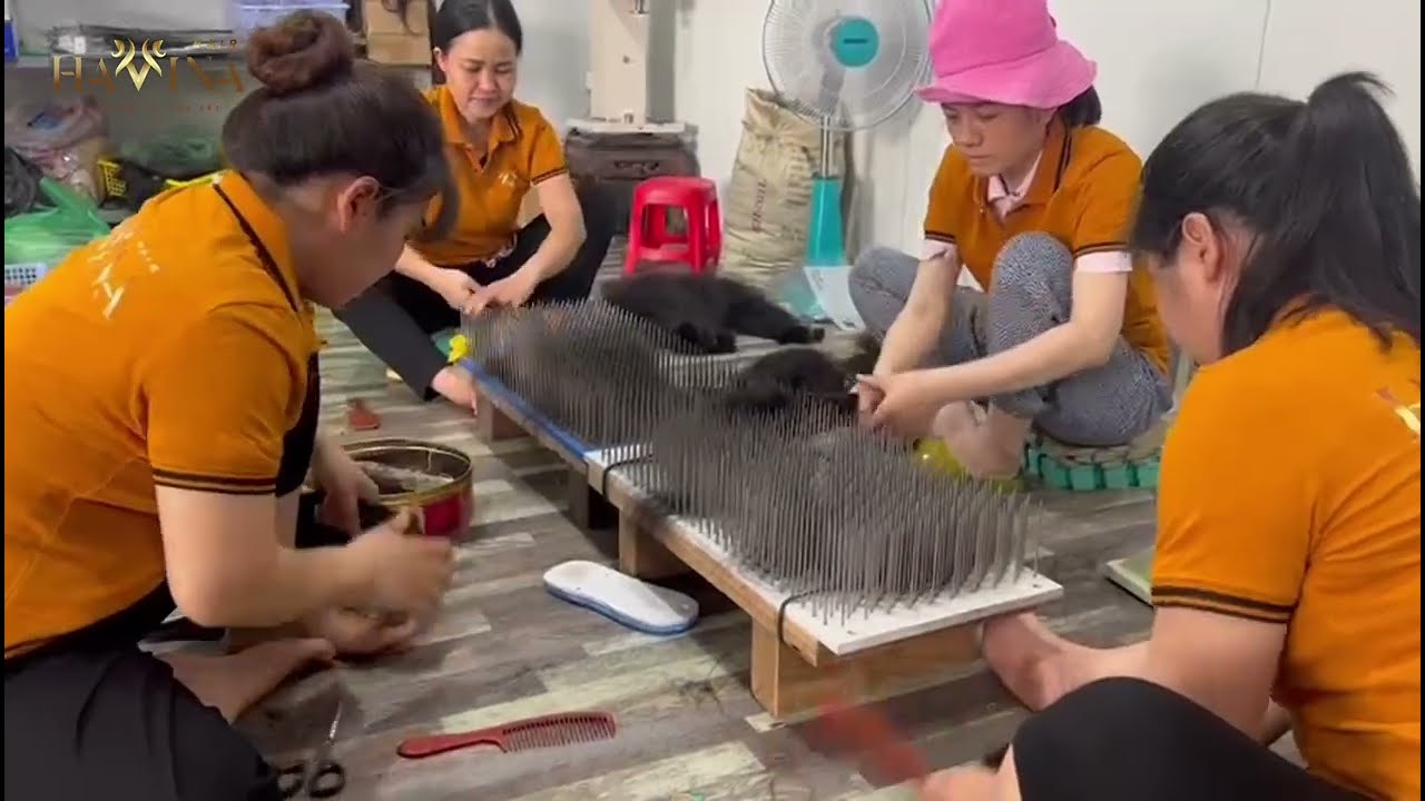 Human hair manufacturing - Vietnam human hair factory