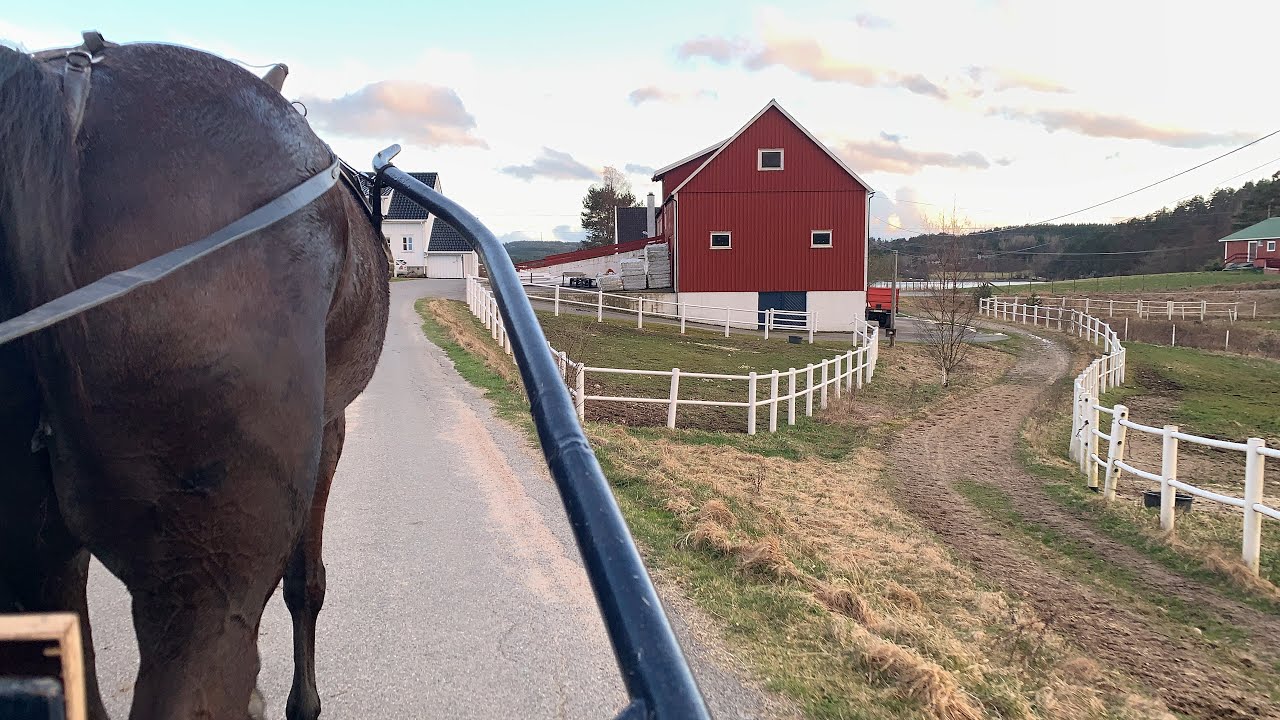 Vlog² 28 Travtrening med Iselin Tøft Dyrstad