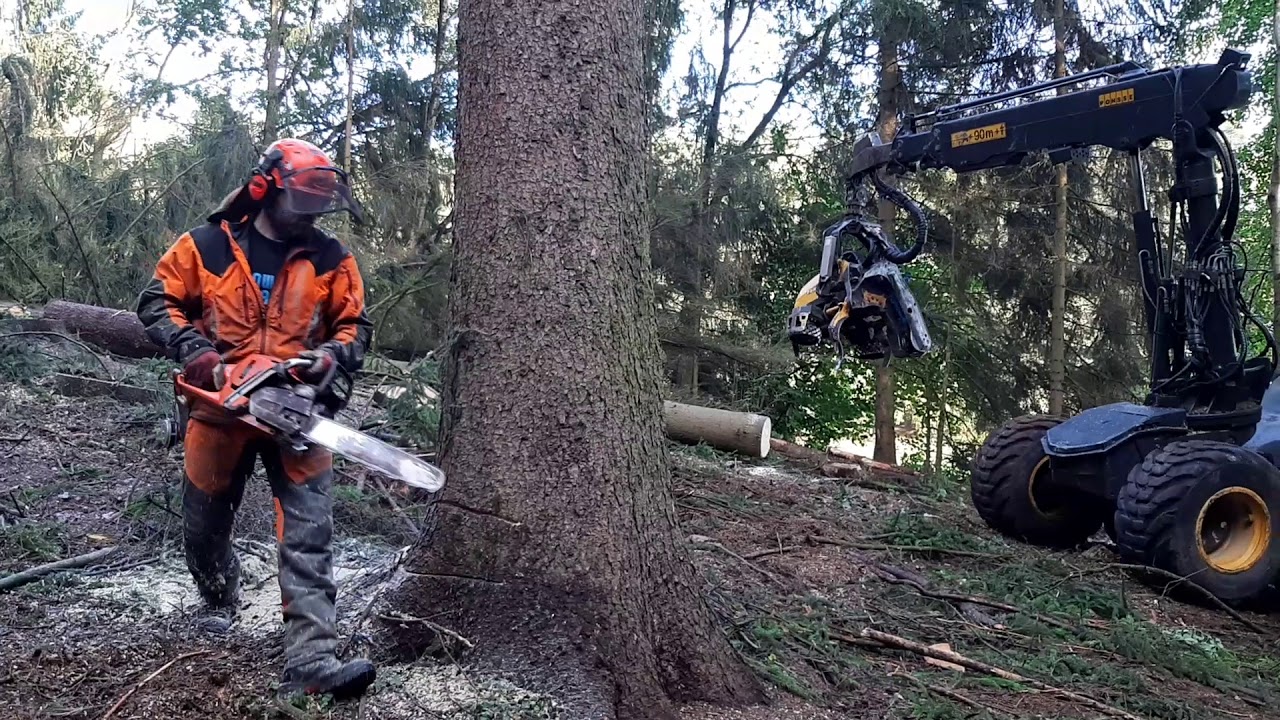 Chainsaw Husqvarna 560XP VS Harvester PONSE ERGO 8x8 GOOD WORK IN THE FOREST!