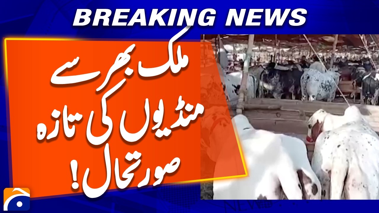 Updated situation of markets from across the country | Eid-ul-Adha 2026 | Geo News