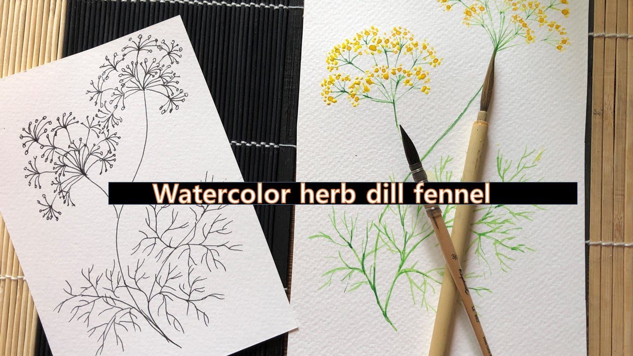 How to paint watercolor herbs floral illustration/ dill / fennel / no.7  [paperdoll789]