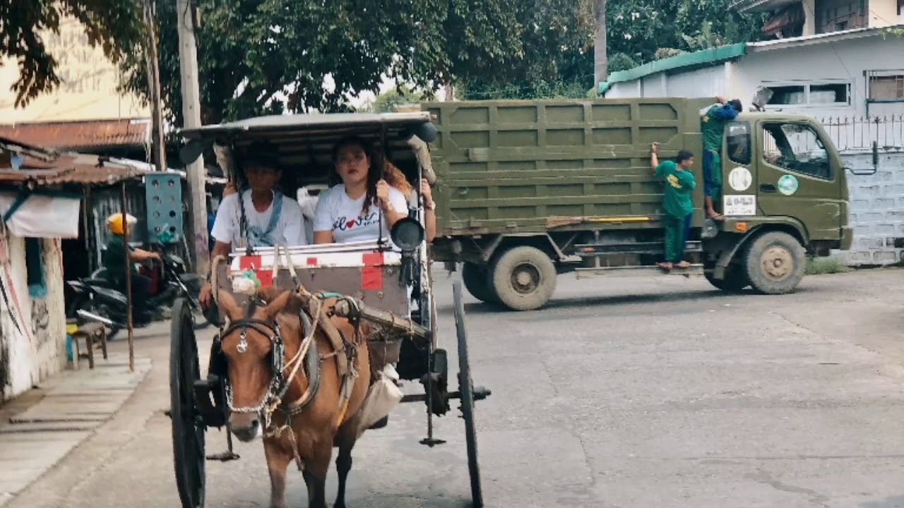 the Beauty of VIGAN😍