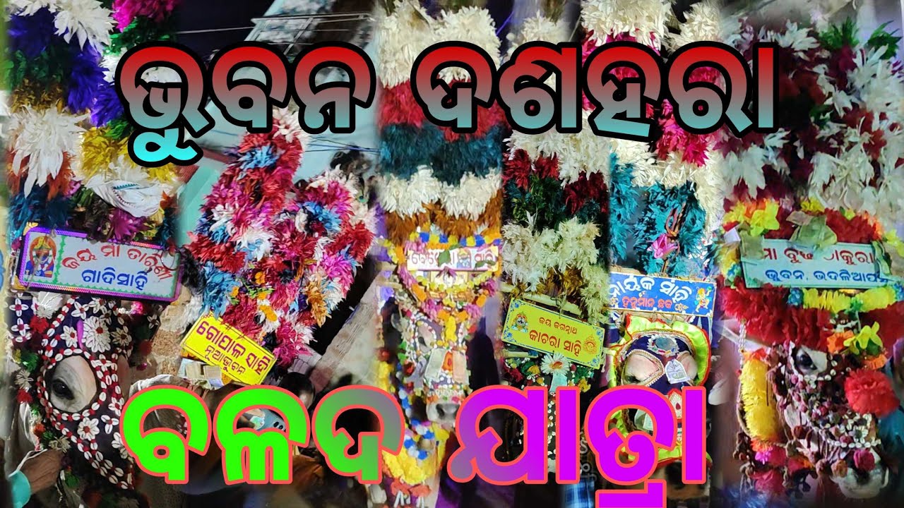 Dusseshra balad jatra ||Bhuban Durga Puja||ommsri| Bullock fastival ||Full Dj compitition jatra 2024