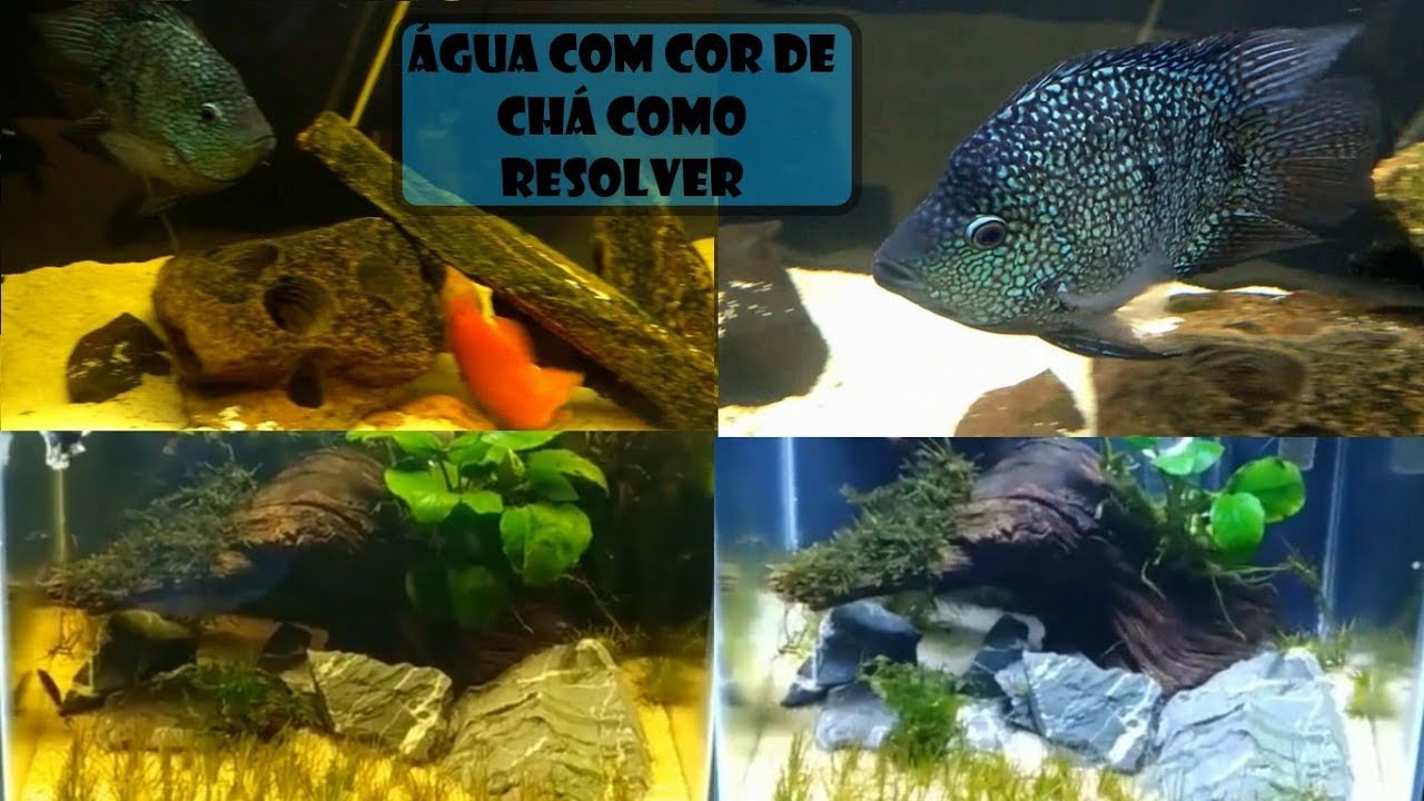 Veja como deixar a Água cor de chá Cristália!!