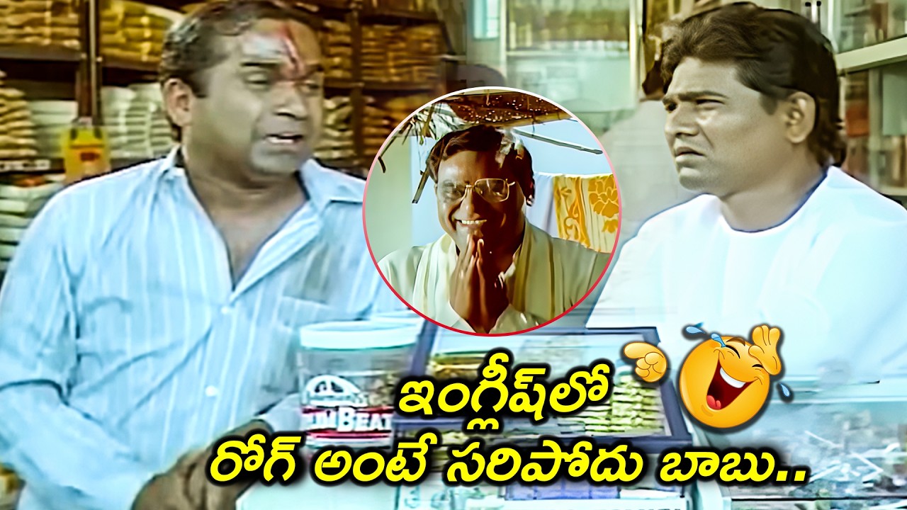 ఇంగ్లీష్ లో రోగ్ అంటే సరిపోదు బాబు..🤣😂| Brahmanandam and Kota Srinivasa Rao Comedy Scenes