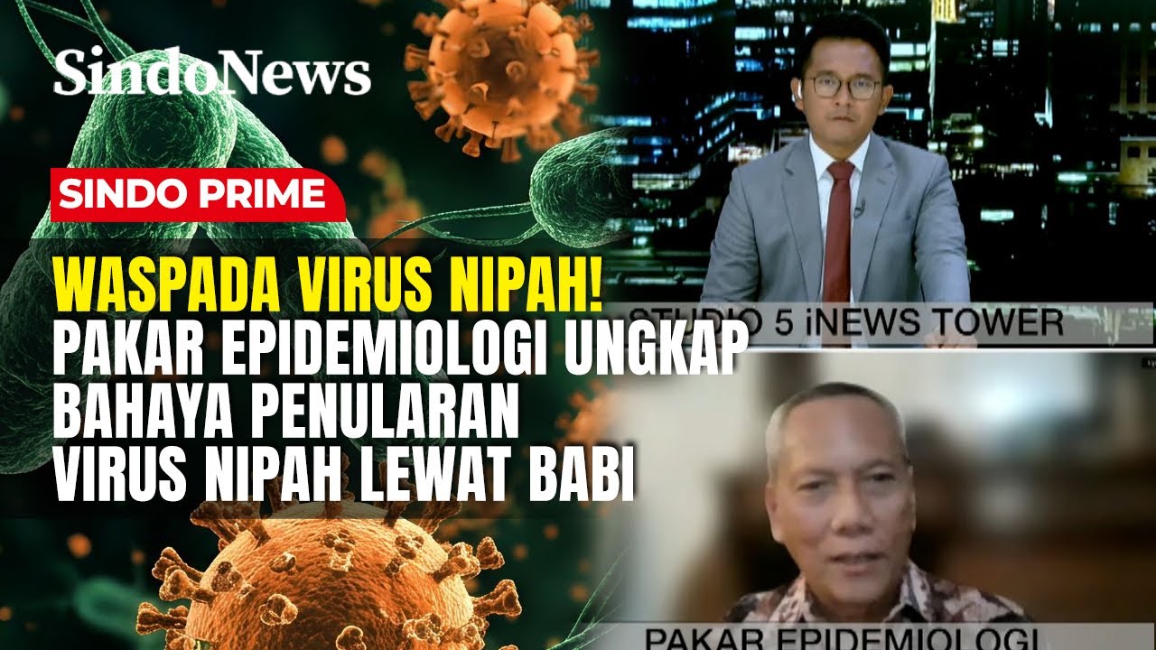 Waspada Virus Nipah! Pakar Epidemiologi Ungkap Bahaya Penularan Virus Nipah Lewat Babi | Sindo Prime