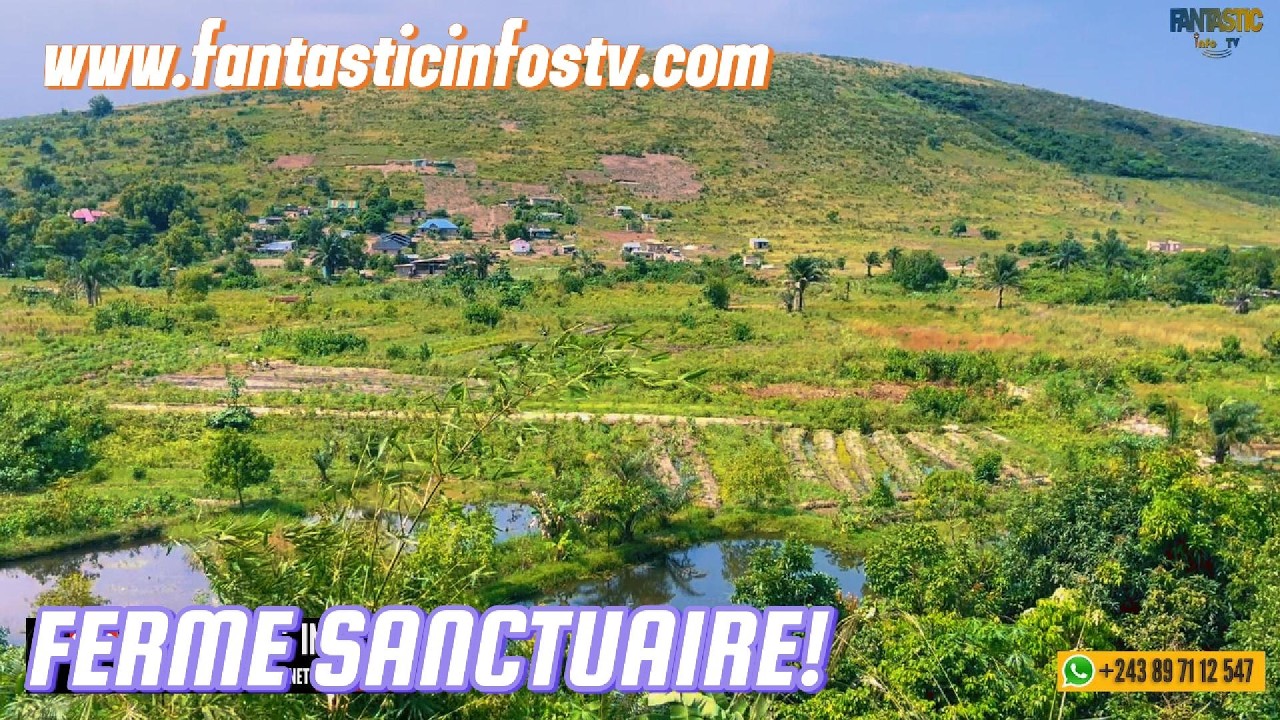 DE LONDRES A KINSHASA POUR LA FERME SANCTUAIRE A NSELE VILLAGE  MBAMU