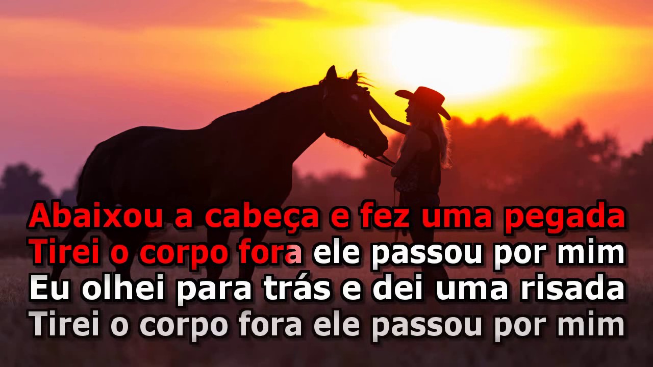 Picaço Velho - José Mendes (Karaokê)
