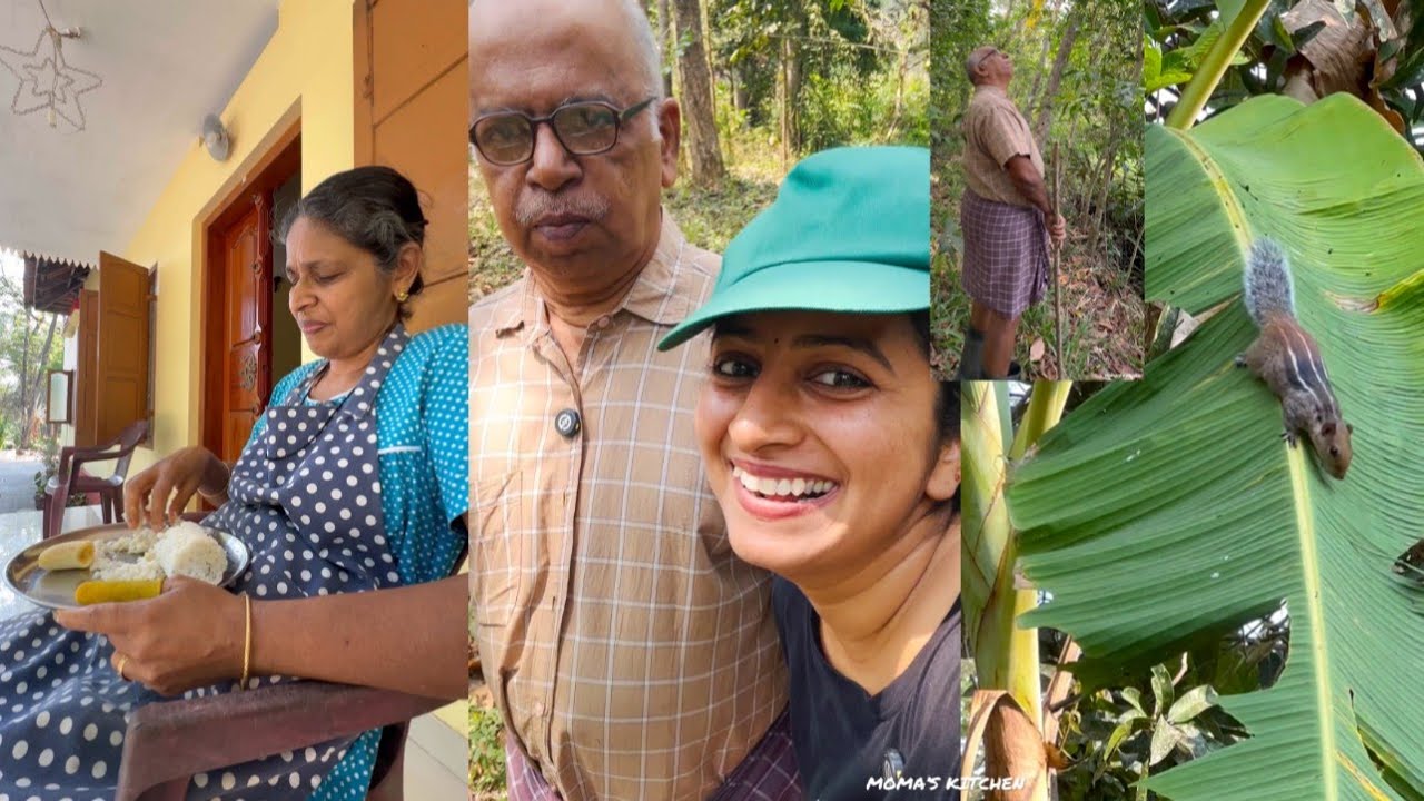 Самые красивые виды я увидела, когда ездила посмотреть ферму с папой 😍 Наш полдня из нашей жизни