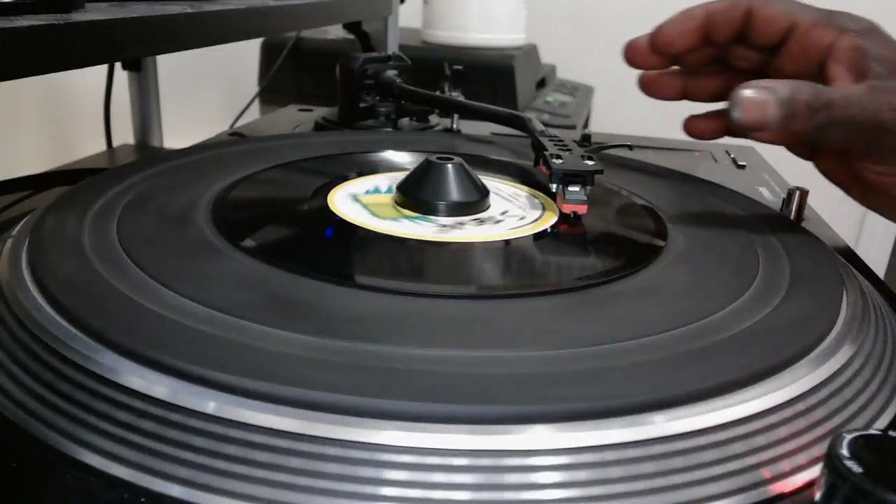 Desi Roots – I Don't Know Why I Love You / Version