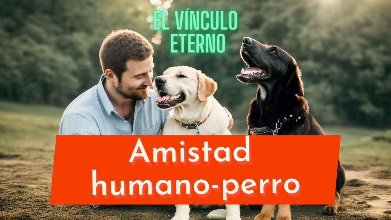 El origen del V&Iacute;NCULO humano-perro || La AMISTAD m&aacute;s antigua del mundo