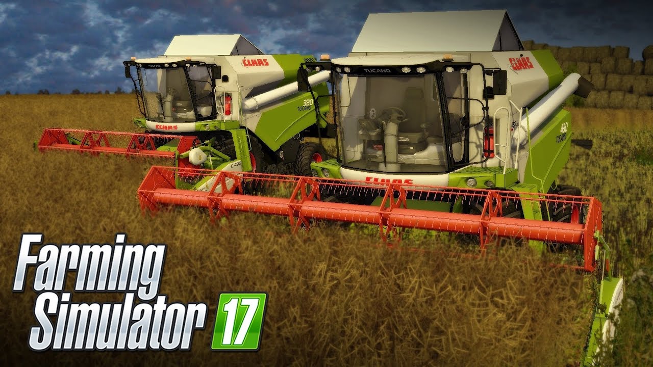 ★ Miki kombajnista, czyli żniwa rzepaczane na dwa Tucano! ★ FS17 z Mikim i Arkiem [#1] ★