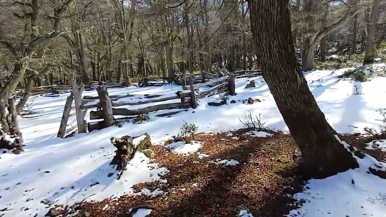 La sensación de #caminar sobre #nieve es MAGIA #invierno 2024 #trekking #patagonia #argentina RINCON