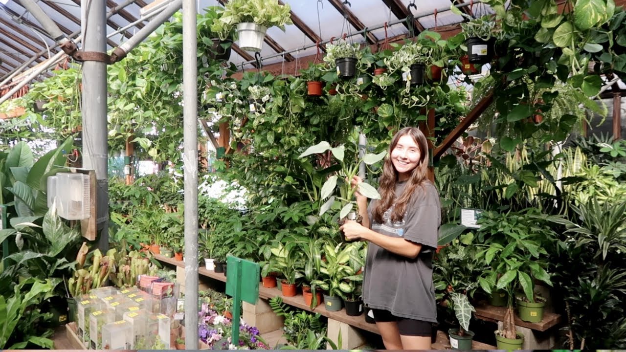 Cool Houseplants in Time for Summer 😎