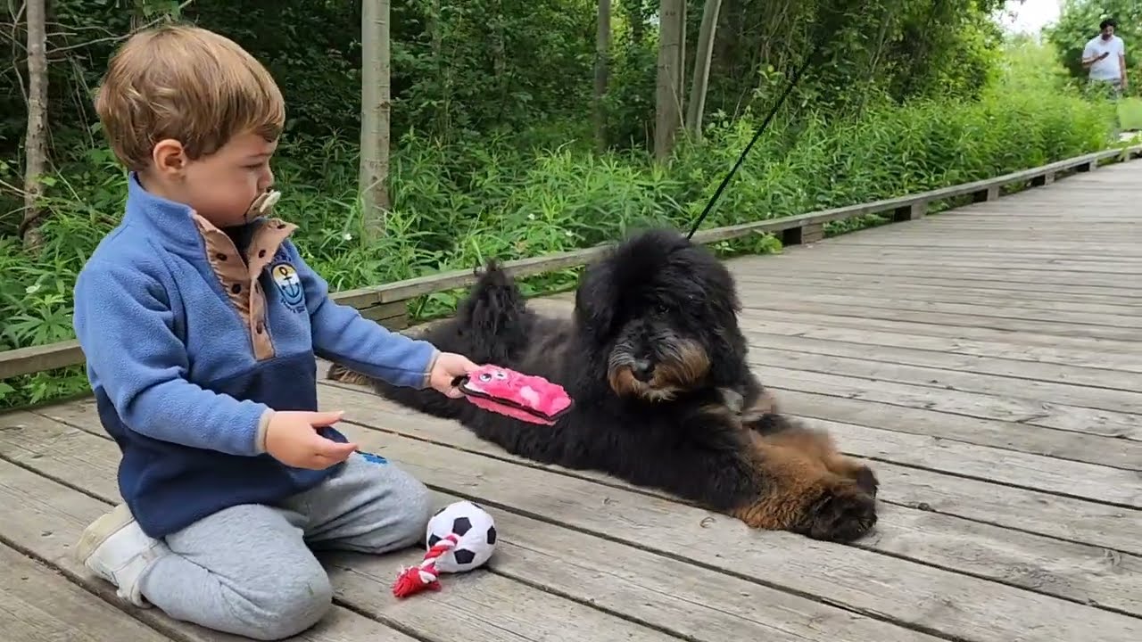 mini bd