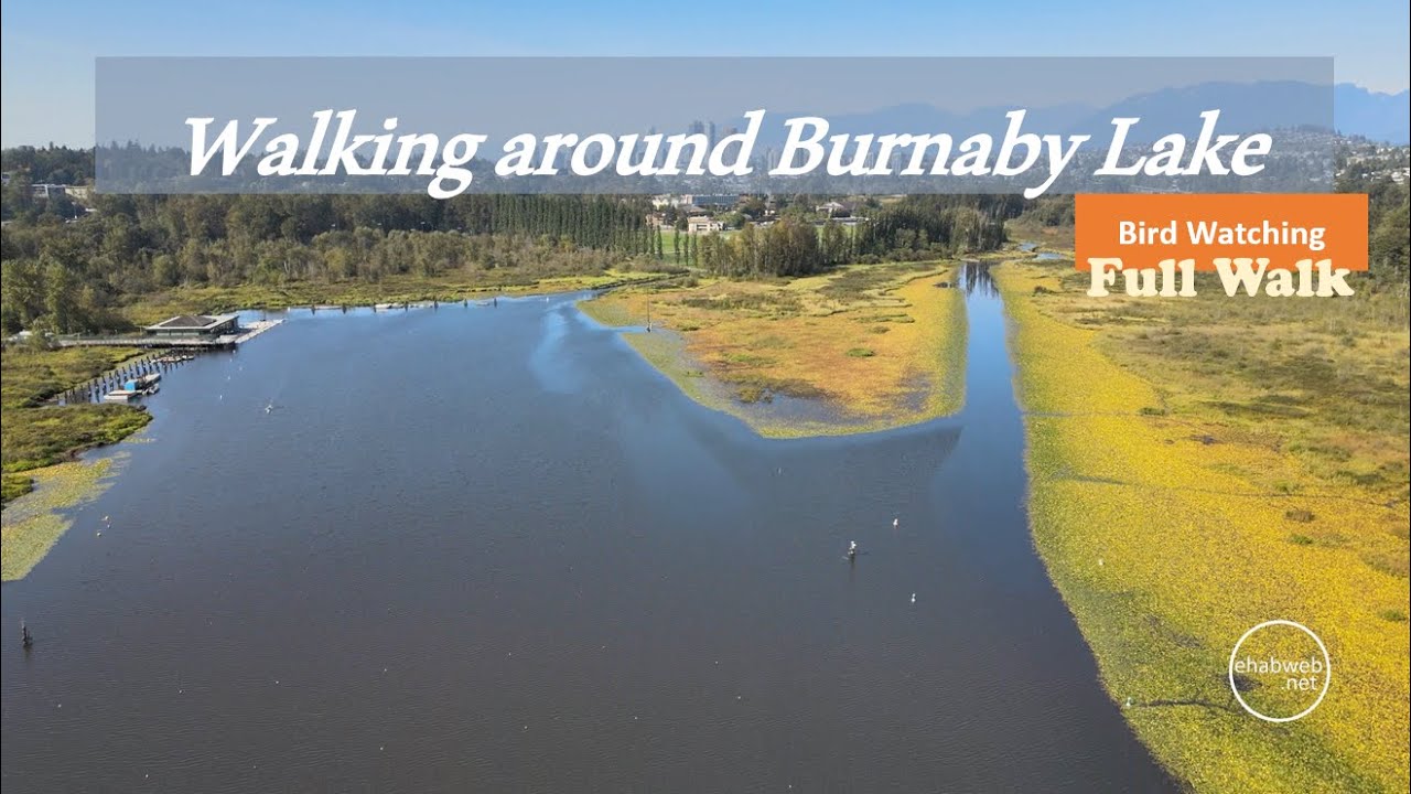 Walking around Burnaby Lake - Vancouver - British Columbia
