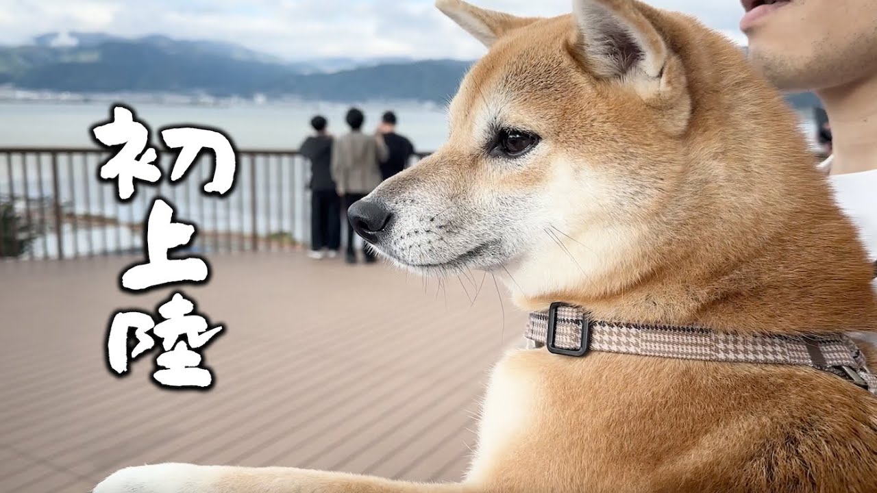 【犬旅】自然のパワーを感じにお茶子とはるばるやって来ました